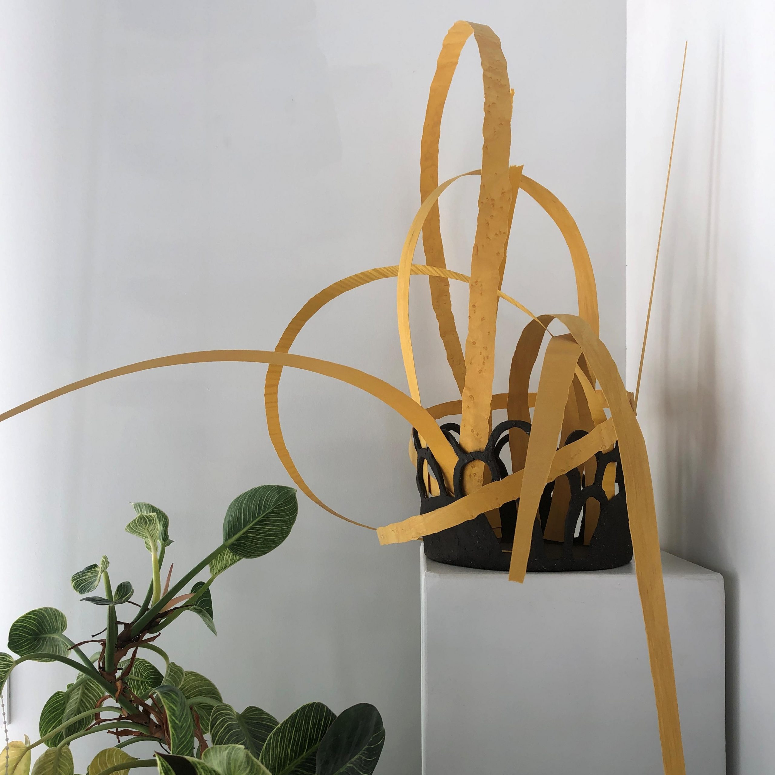EXPOSITION – Champ Libre